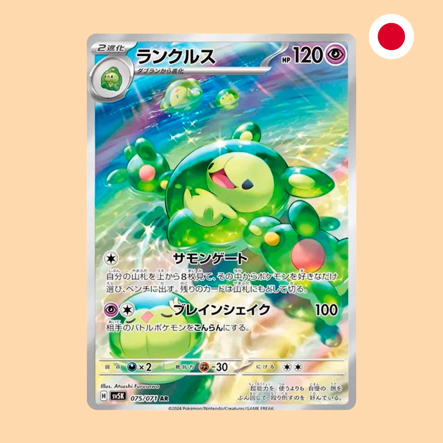 REUNICLUS SV5K 075 AR - JAPONES