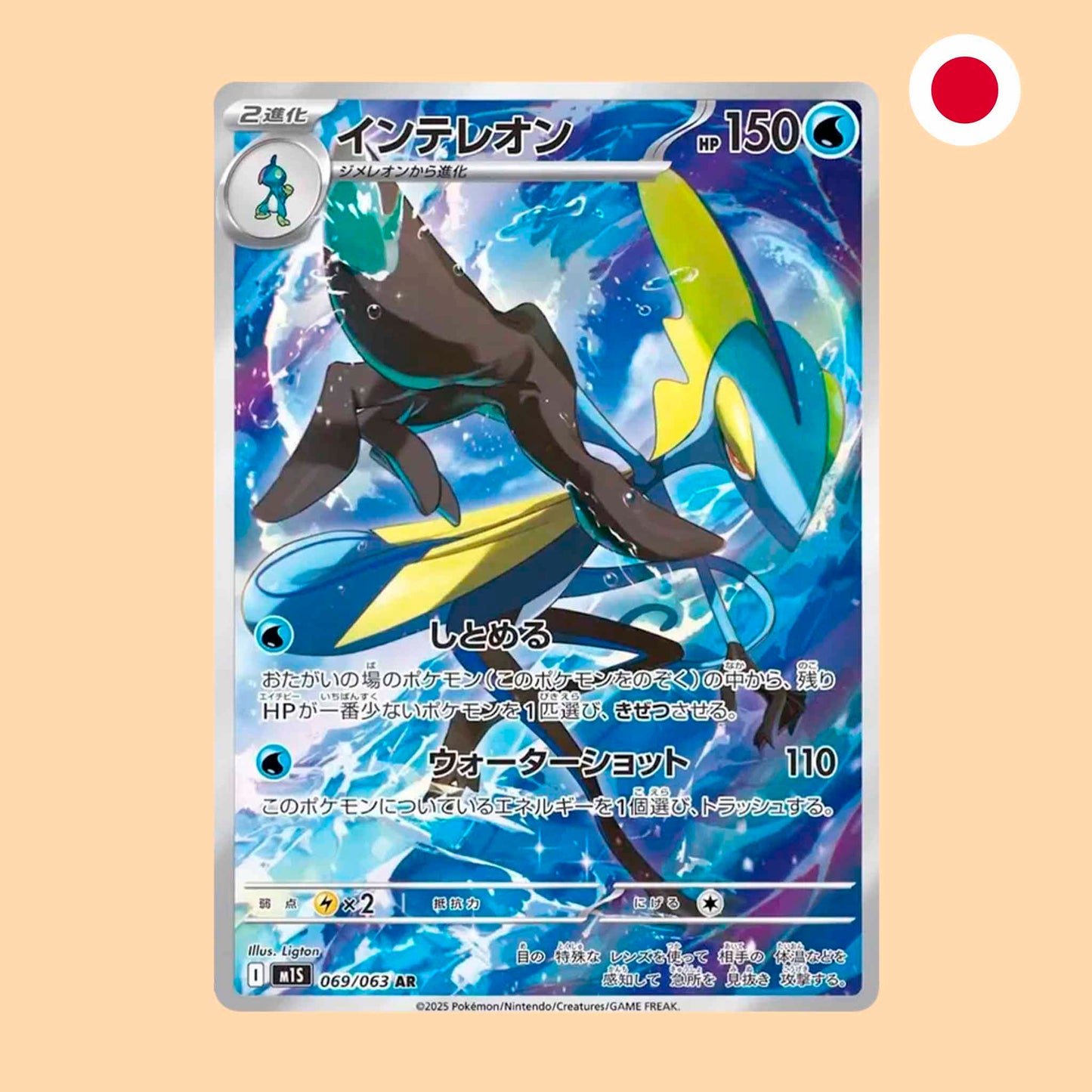 INTELEON M1S 069 AR - JAPONES