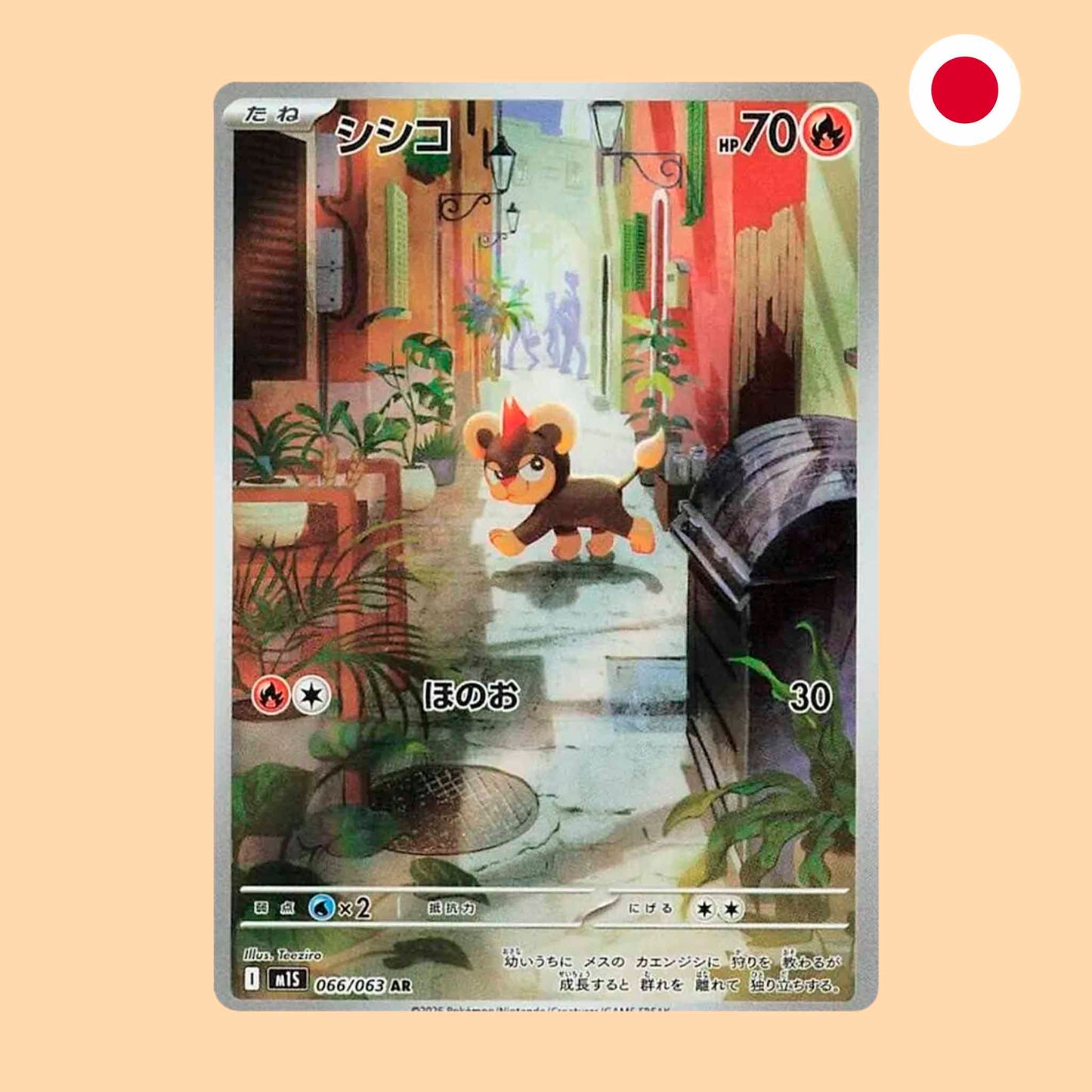 LITLEO M1S 066 AR - JAPONES