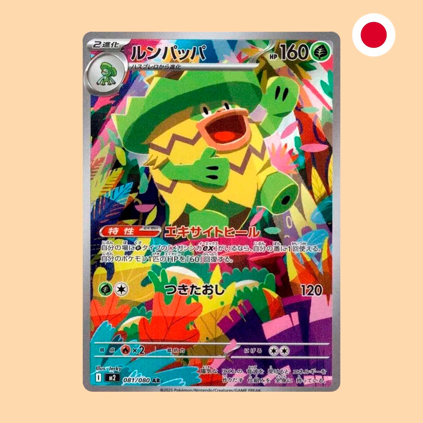 LUDICOLO M2 081 AR - JAPONES
