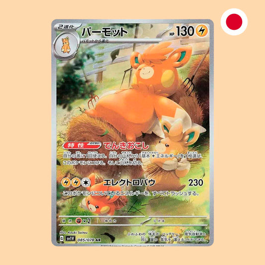 PAWNOT SV1V 085 AR - JAPONES