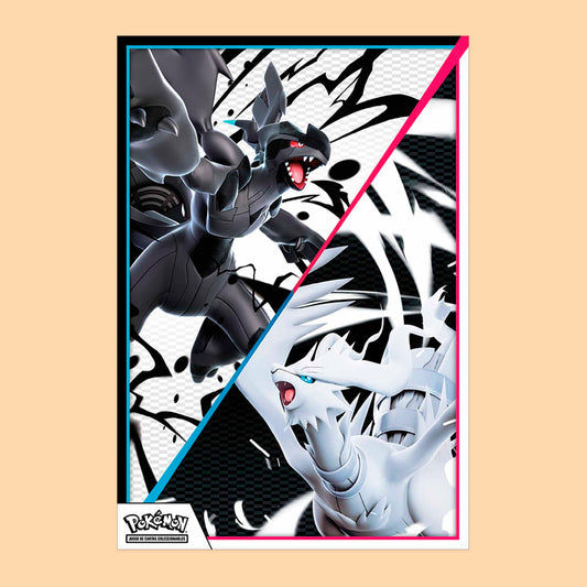 CAJA COLECCION CON POSTER FULGOR NEGRO Y LLAMA BLANCA - ESPAÑOL