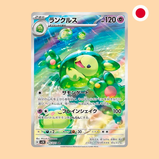 REUNICLUS SV5K 075 AR - JAPONES
