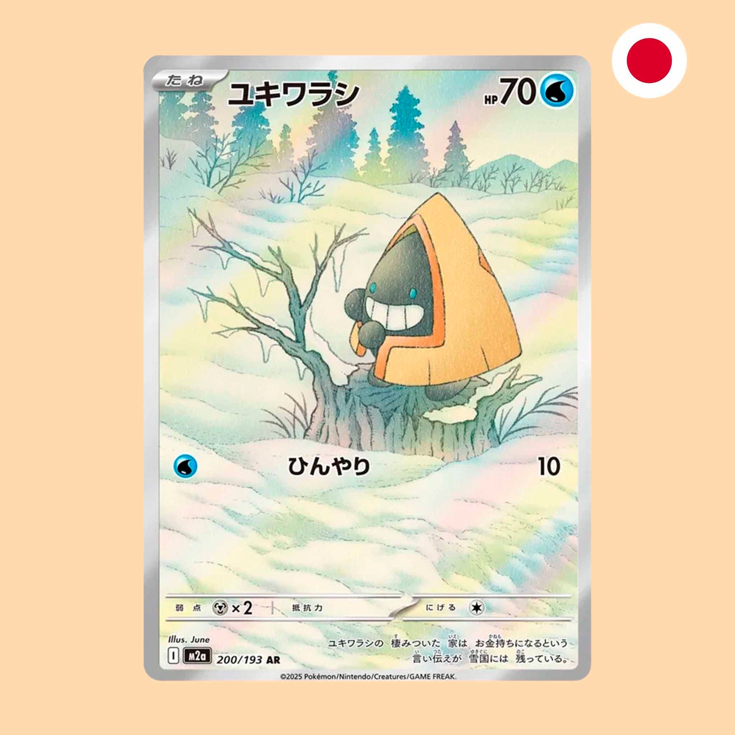 SNORUNT M2A 200 AR - JAPONES