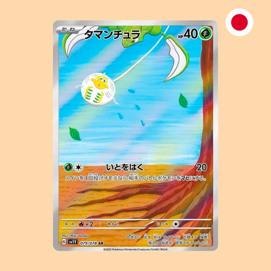 TAROUNTULA SV1V 079 AR - JAPONES