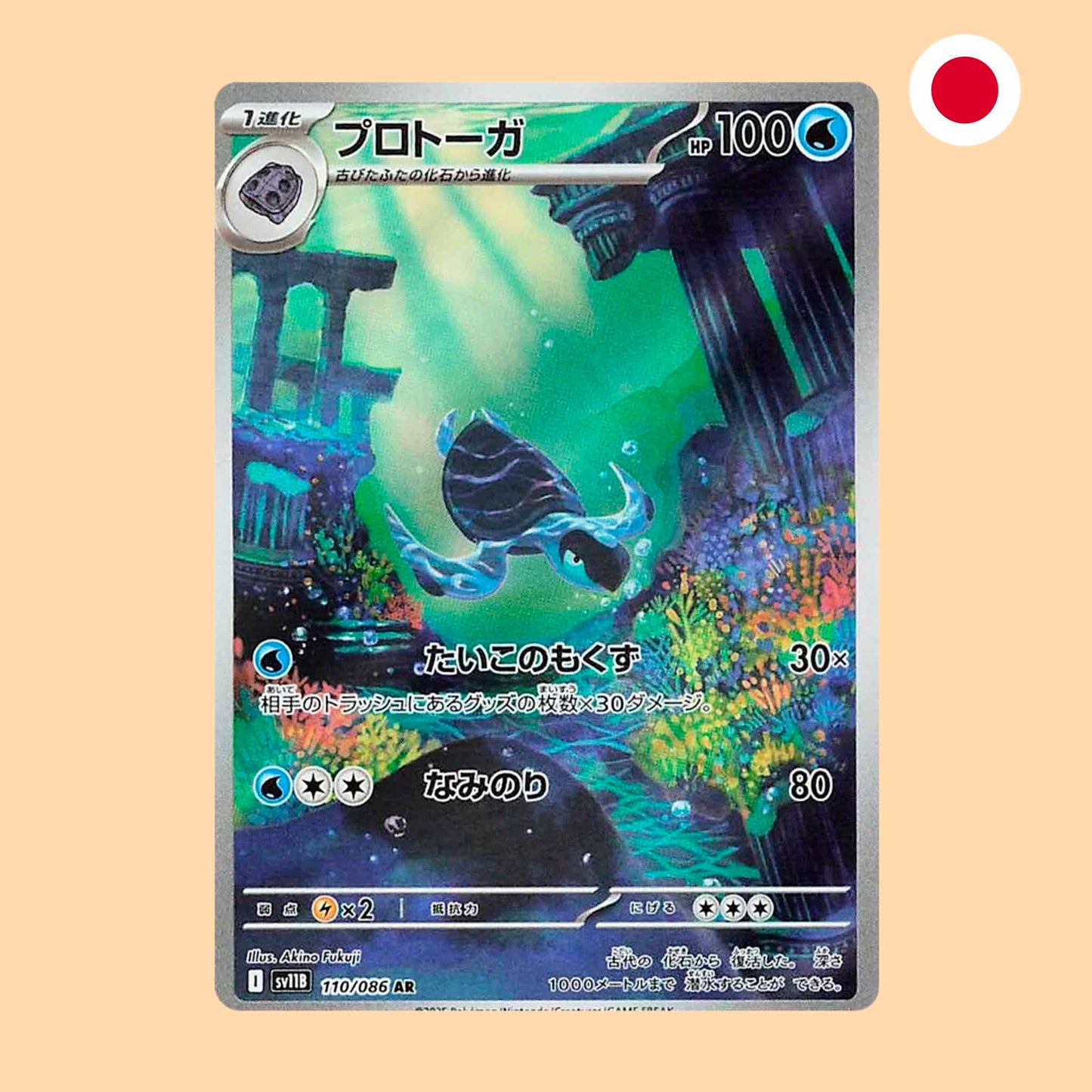 TIRTOUGA SV11B 110 AR - JAPONES