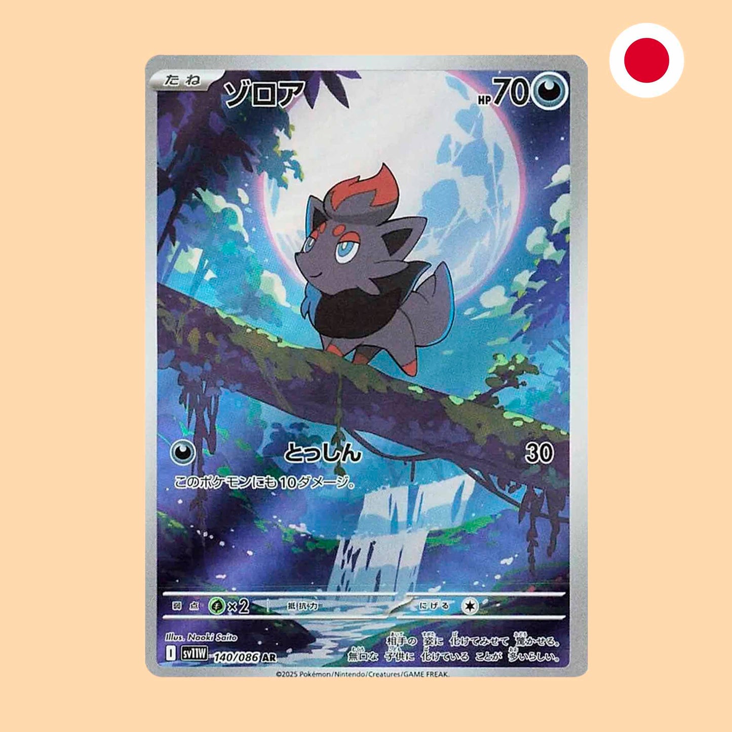ZORUA SV11W 140 AR - JAPONES